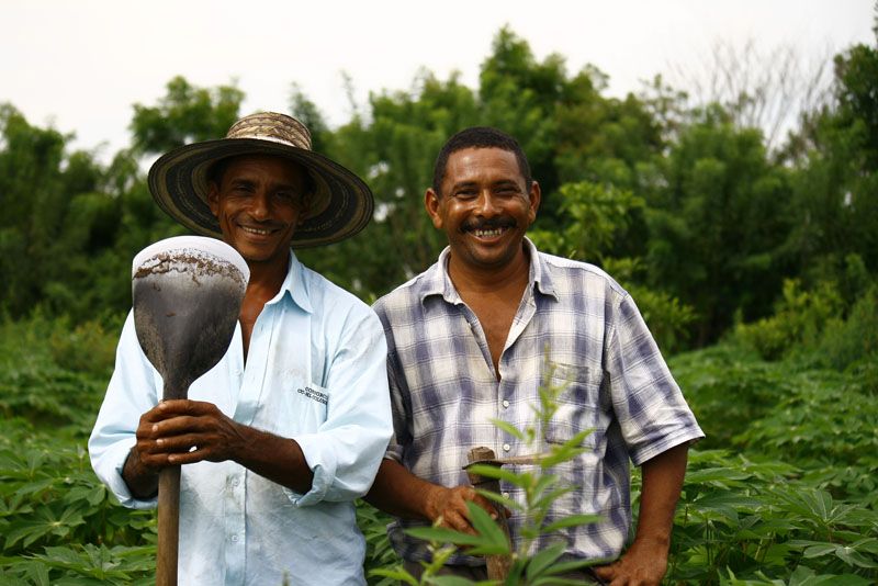 Los agricultores apoyan la Declaracin de Derechos Humanos Campesinos.